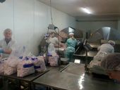 Истории заробитчан. 18 часов в "холодильнике" и штрафы по 10 тысяч гривен