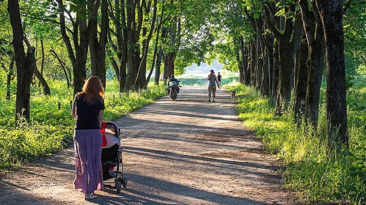 Рейтинг самых независимых знаков зодиака. Фото: pikist