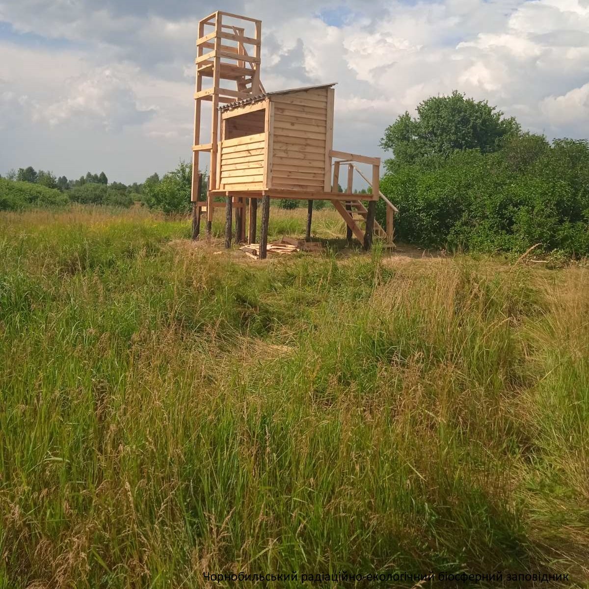 Сооружение для наблюдения за птицами