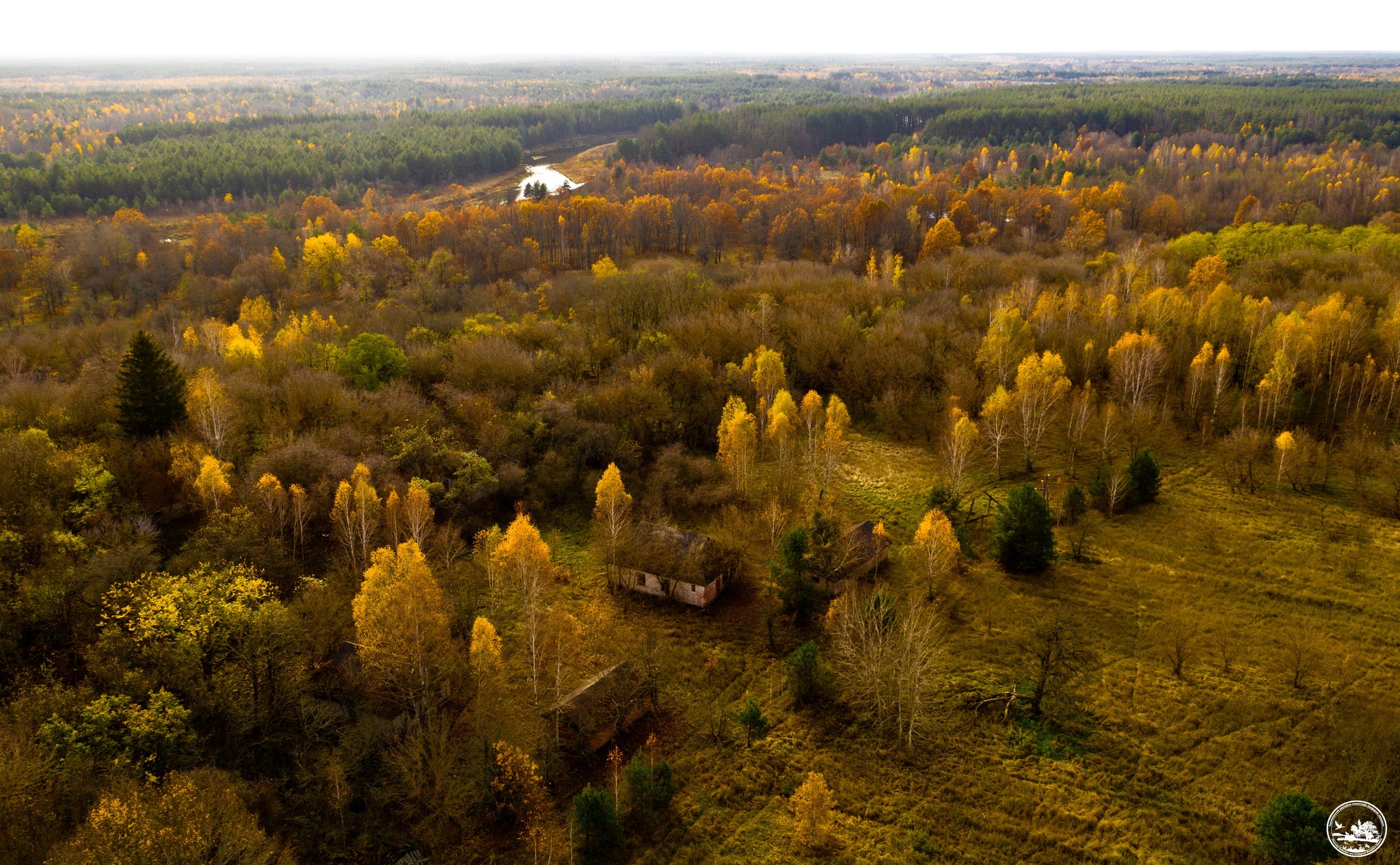 Река извивается в лесу