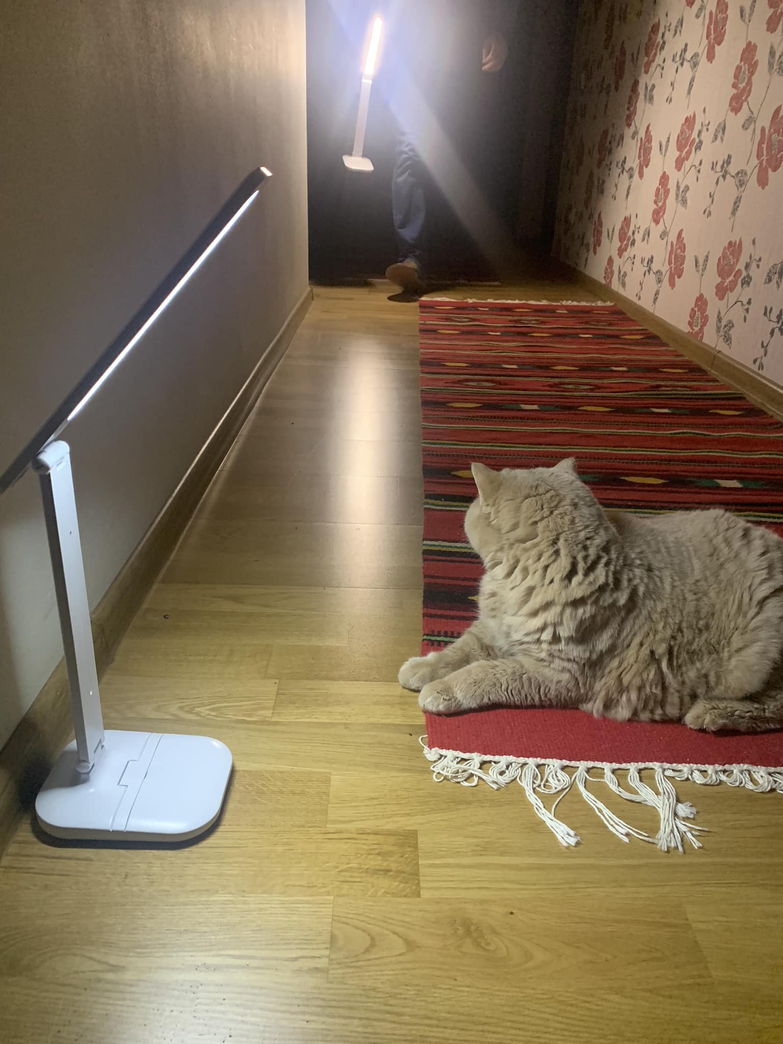 Синоптик Наталья Диденко сообщила о том, что с завтрашнего дня по всей Украине потеплеет, а с новой недели придут холода