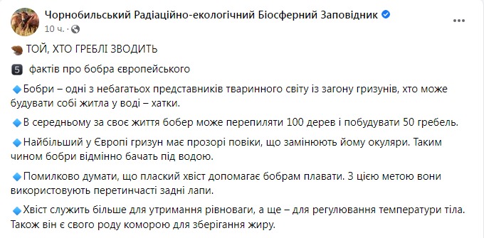 Скриншот из Фейсбука Чернобыльского заповедника 