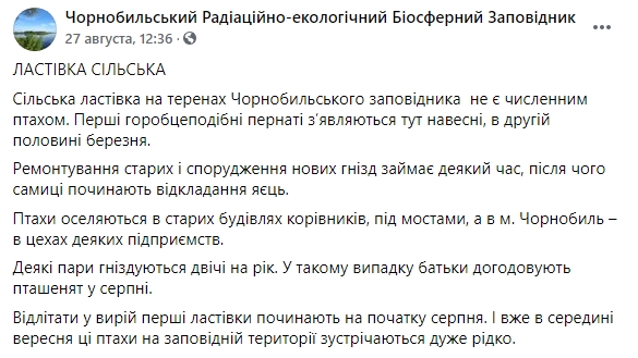 Скриншот: Представители Чернобыльского заповедника рассказали об одном из немногочисленных видов птиц