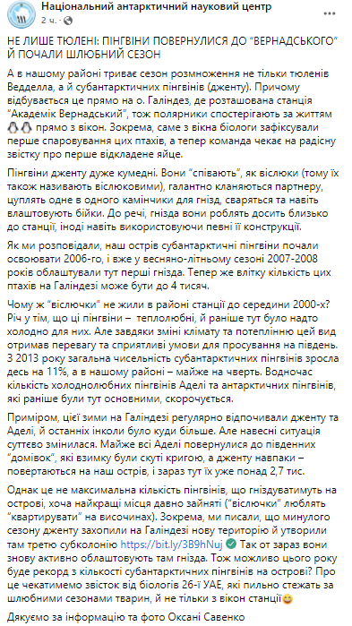 Возле академика Вернадского поселились пингвины. Скриншот из фейсбука
