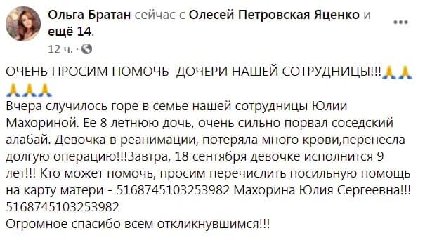 В Херсоне домашний алабай напал на 8-летнюю девочку