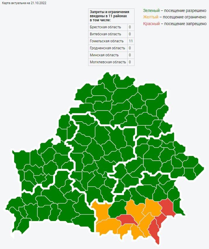 В приграничных с Украиной районах Беларуси ввели запрет на посещение лесов