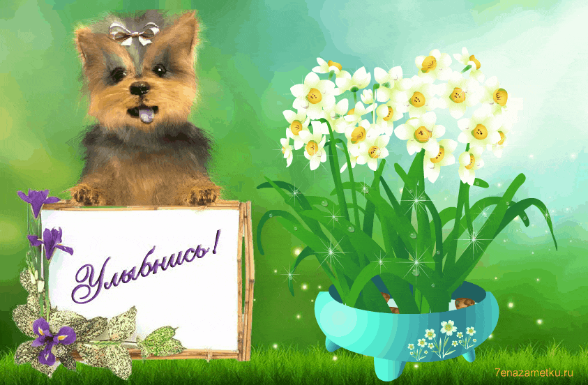 с Днем доброты