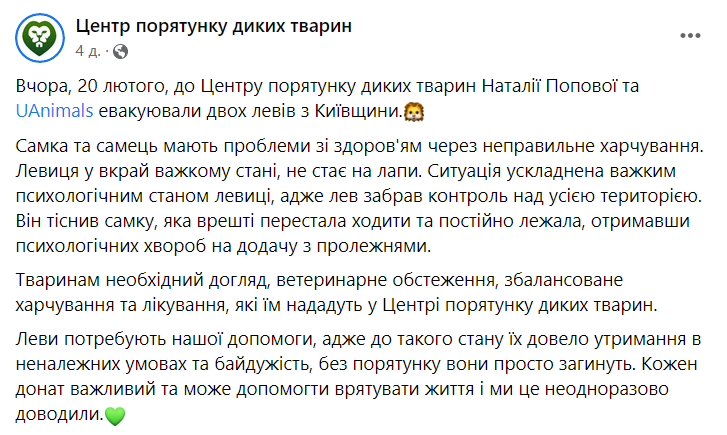 Под Киевом спасли двух львов