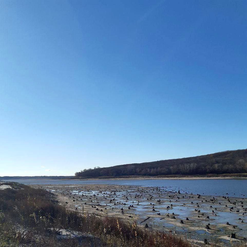 Оскольское водохранилище в Харьковской области на грани экологической катастрофы