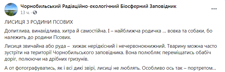 Скриншот из Фейсбука Чернобыльского заповедника