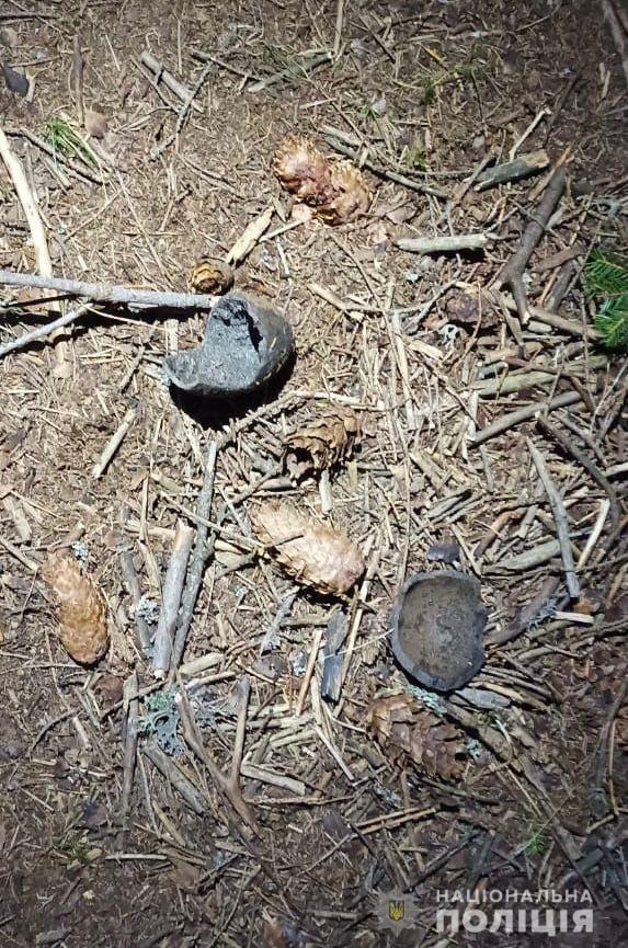 место взрыва костра в Карпатах