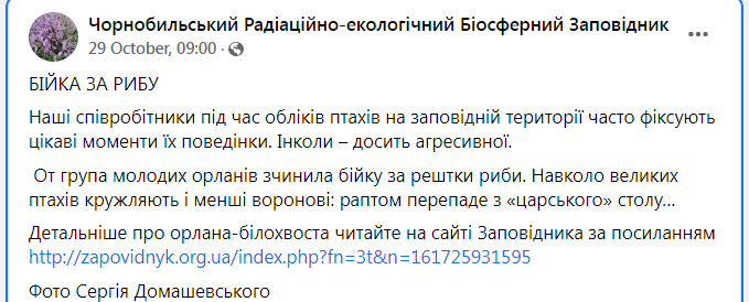 Скриншот из Фейсбука Чернобыльского заповедника