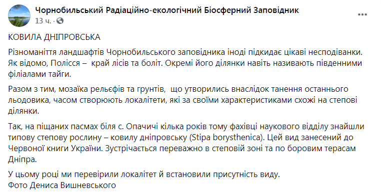 Скриншот из Фейсбука Чернобыльского заповедника 