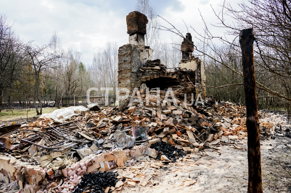 Последствия пожаров в Житомирской области