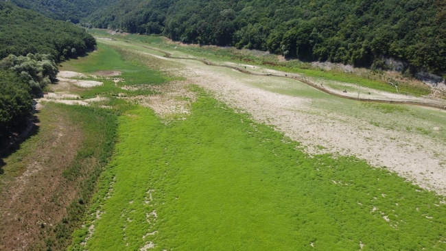 Под Стамбулом пересохло два водохранилища. Фото: "Укринформ"