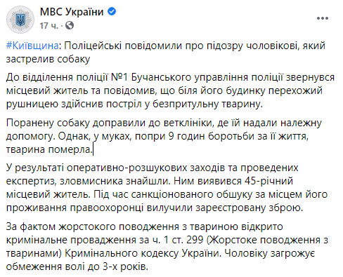 В городе Буча Киевской области 45-летний местный мужчина застрелил бездомную собаку