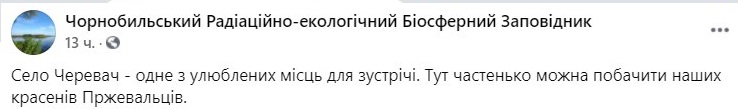 Лошади Пржевальского в Чернобыльском заповеднике