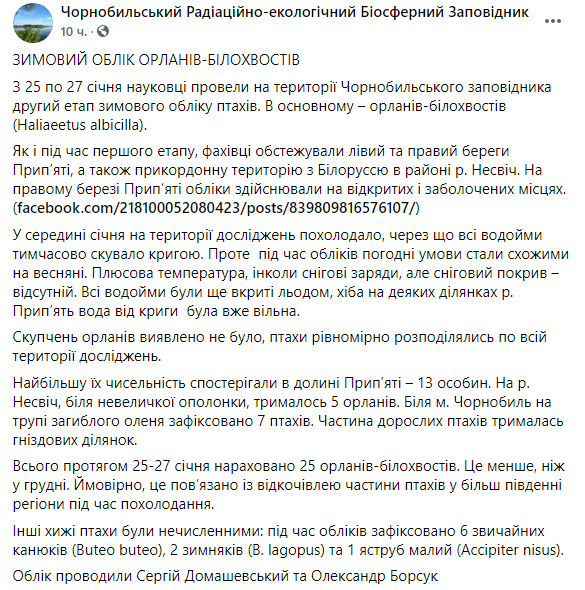 Скриншот: в Чернобыльском заповеднике пересчитали всех орланов-белохвостов