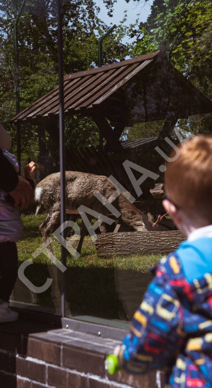 У Харкові знову відкрився зоопарк