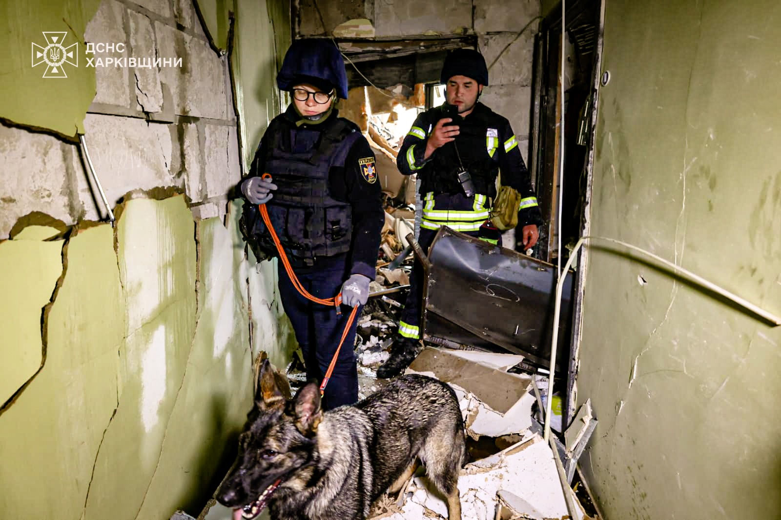 Фото спасательной операции (2). Источник - facebook.com/DSNS.GOV.UA